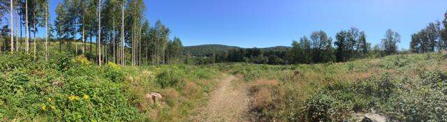 Ecologisch MAGIS-midweek in de Ardennen 10